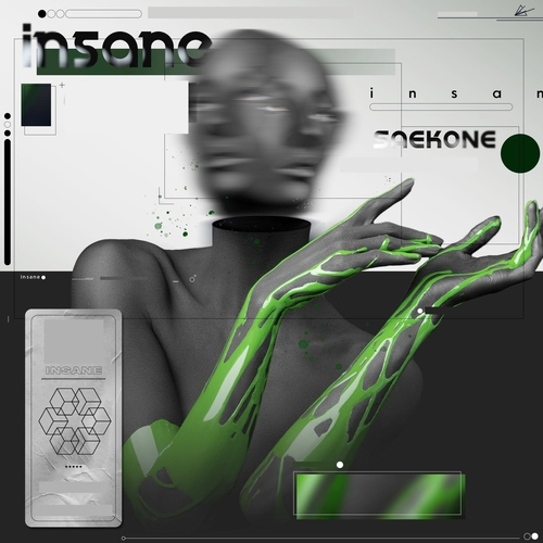 Saekone - Insane [1304473]